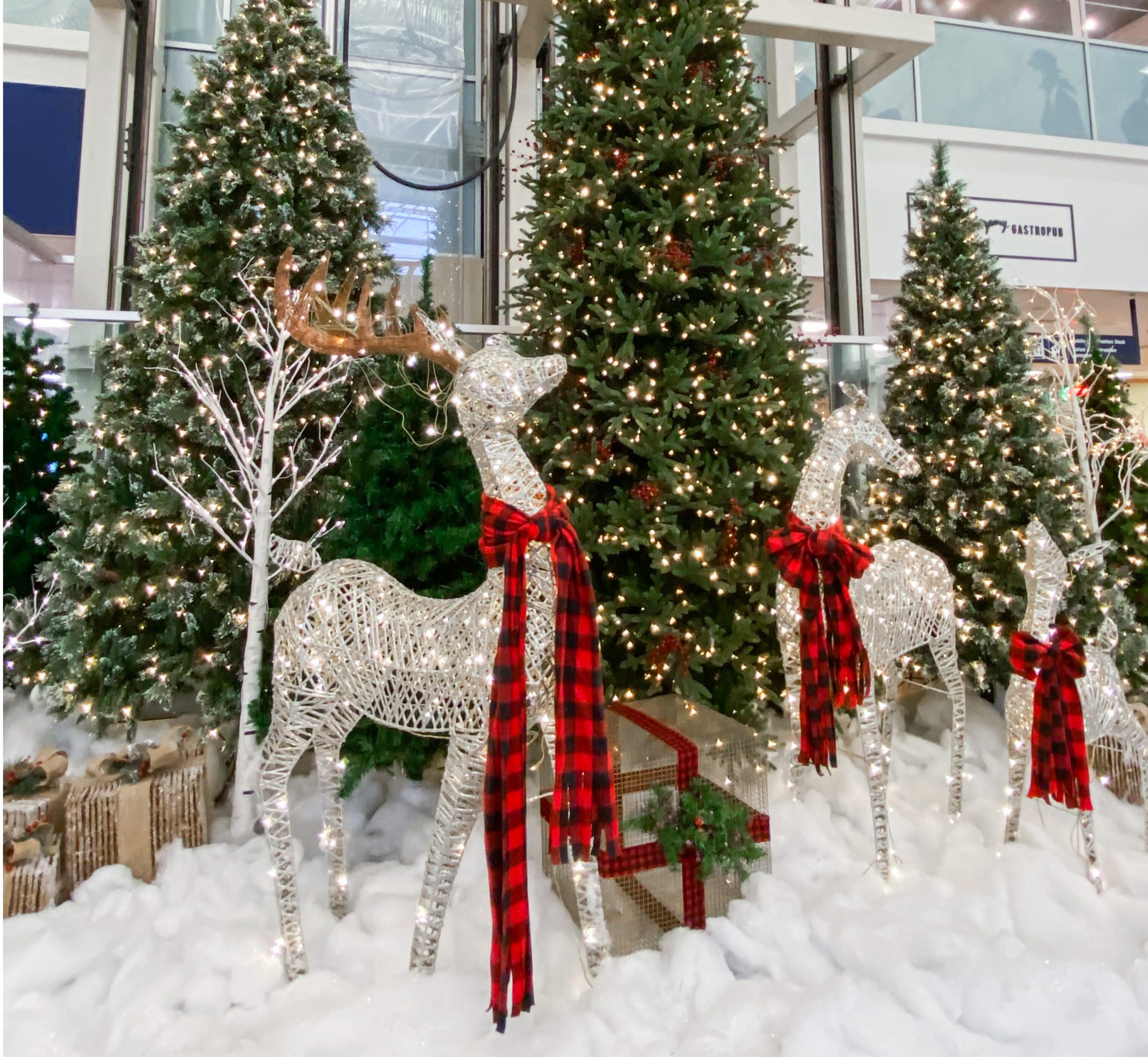 Travel Tips You Don’t Want to Miss This Holiday Season Halifax